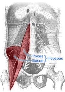 All About the Iliopsoas